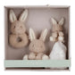 Bunny - Coffret de naissance