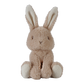 Bunny - Petit lapin